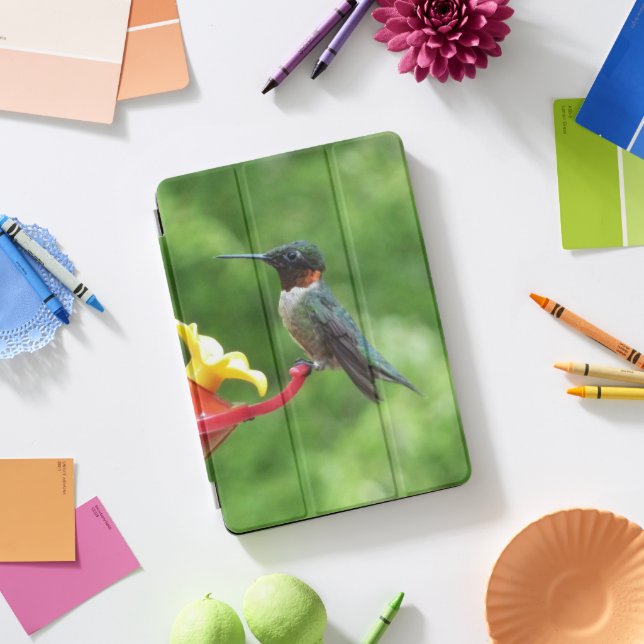 Ruby-Throated Hummingbird Bird Photography iPad Pro Cover (Desk)