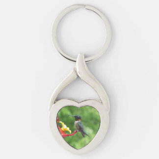 Ruby-Throated Hummingbird Bird Photography Keychain