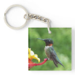 Ruby-Throated Hummingbird Bird Photography Keychain