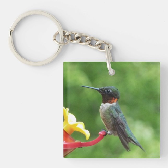 Ruby-Throated Hummingbird Bird Photography Keychain (Front)