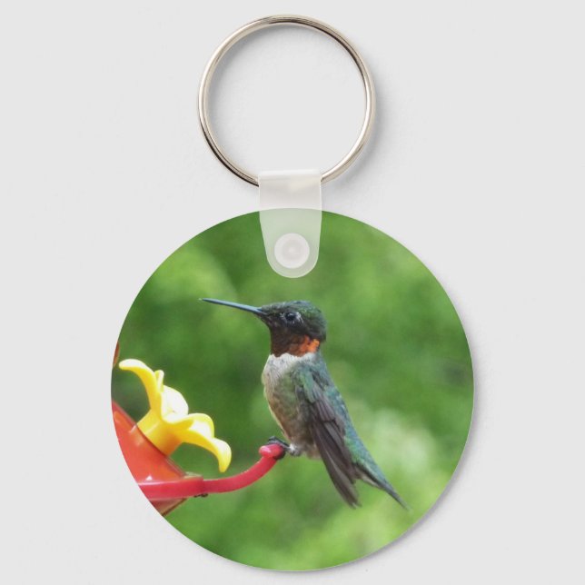 Ruby-Throated Hummingbird Bird Photography Keychain (Front)