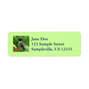 Ruby-Throated Hummingbird Bird Photography Label