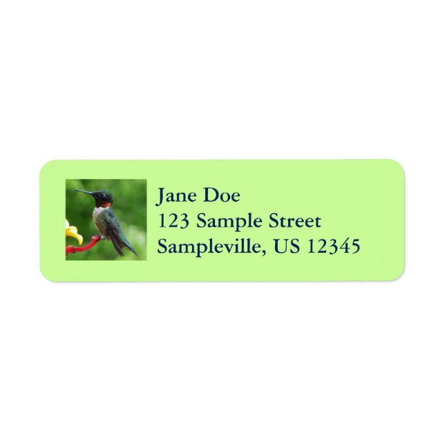 Ruby-Throated Hummingbird Bird Photography Label (Front)