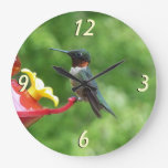 Ruby-Throated Hummingbird Bird Photography Large Clock