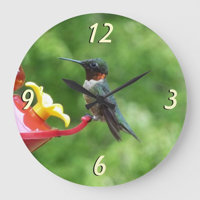 Ruby-Throated Hummingbird Bird Photography Large Clock (Front)