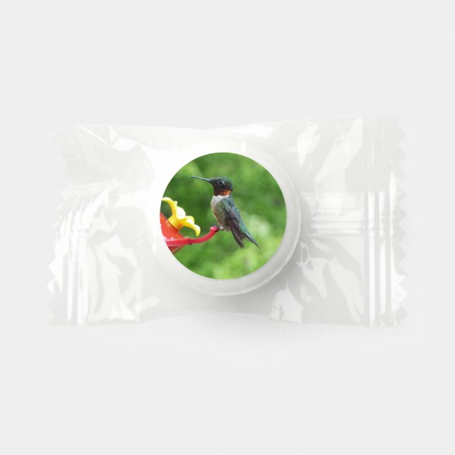 Ruby-Throated Hummingbird Bird Photography Life Saver® Mints (Front)