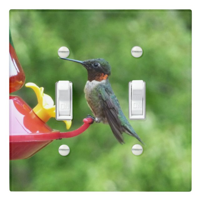 Ruby-Throated Hummingbird Bird Photography Light Switch Cover (In Situ)