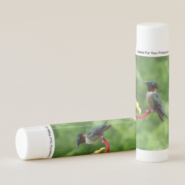Ruby-Throated Hummingbird Bird Photography Lip Balm (Front)