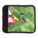 Ruby-Throated Hummingbird Bird Photography Luggage Handle Wrap