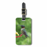 Ruby-Throated Hummingbird Bird Photography Luggage Tag