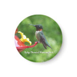 Ruby-Throated Hummingbird Bird Photography Magnet