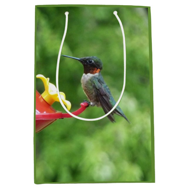 Ruby-Throated Hummingbird Bird Photography Medium Gift Bag (Front)