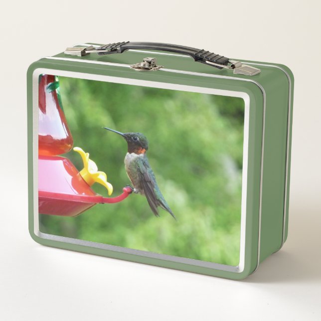 Ruby-Throated Hummingbird Bird Photography Metal Lunch Box (Front)