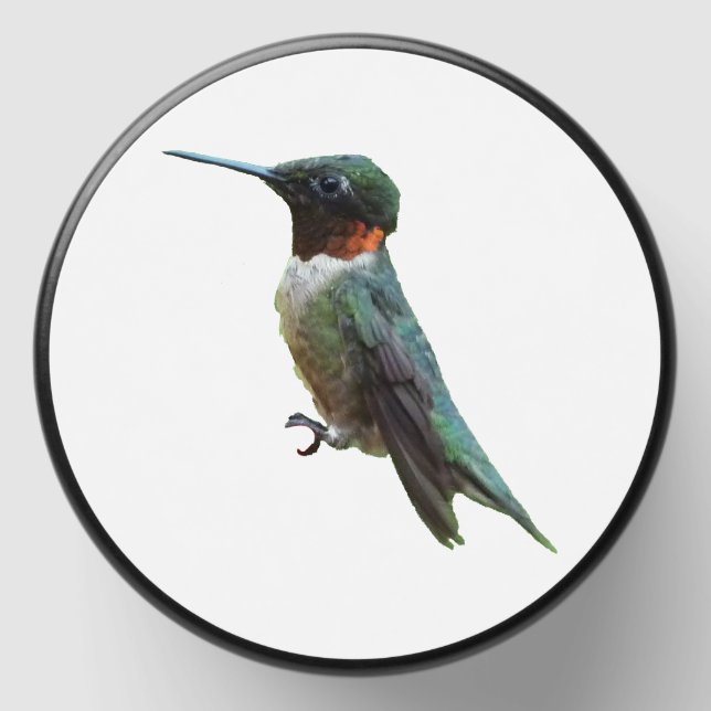 Ruby-Throated Hummingbird Bird Photography Mini Candle Favors (Front)