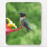 Ruby-Throated Hummingbird Bird Photography Mouse Pad
