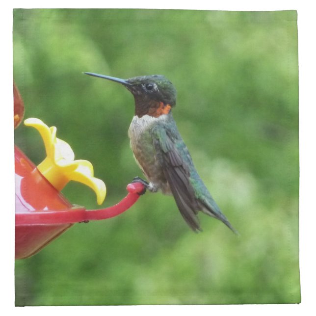 Ruby-Throated Hummingbird Bird Photography Napkin (Front)