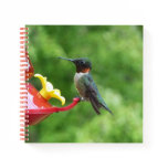 Ruby-Throated Hummingbird Bird Photography Notebook