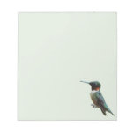Ruby-Throated Hummingbird Bird Photography Notepad
