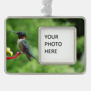 Ruby-Throated Hummingbird Bird Photography Ornament
