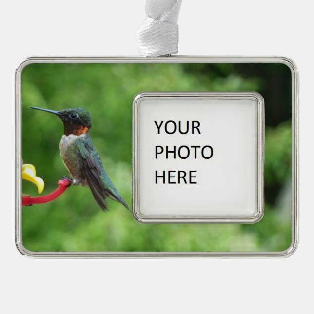 Ruby-Throated Hummingbird Bird Photography Ornament (Front)