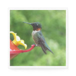 Ruby-Throated Hummingbird Bird Photography Paper Napkins