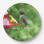 Ruby-Throated Hummingbird Bird Photography Paper Plates