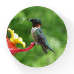 Ruby-Throated Hummingbird Bird Photography Paperweight