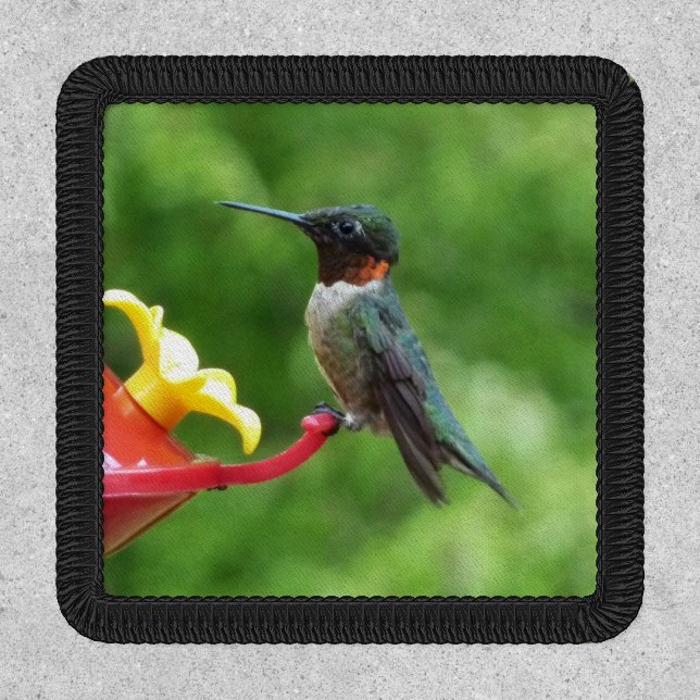 Ruby-Throated Hummingbird Bird Photography Patch (Front)