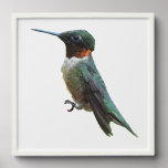 Ruby-Throated Hummingbird Bird Photography Peel And Stick Photo Tile