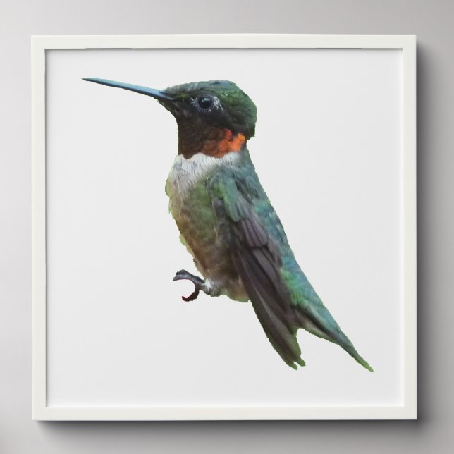 Ruby-Throated Hummingbird Bird Photography Peel And Stick Photo Tile (Front Set)