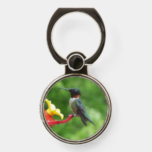 Ruby-Throated Hummingbird Bird Photography Phone Ring Stand