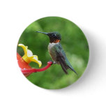 Ruby-Throated Hummingbird Bird Photography Pinback Button