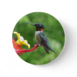 Ruby-Throated Hummingbird Bird Photography Pinback Button