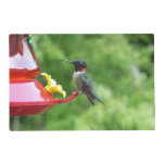 Ruby-Throated Hummingbird Bird Photography Placemat