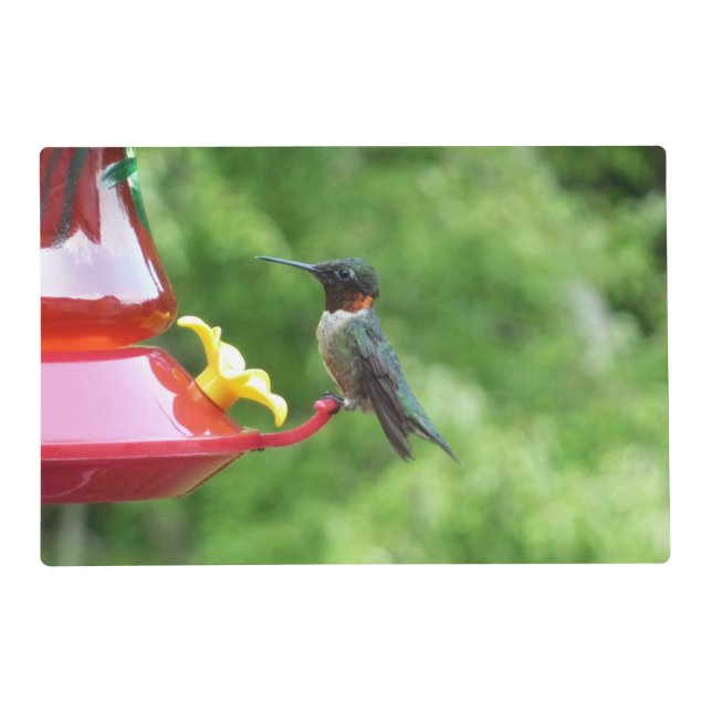 Ruby-Throated Hummingbird Bird Photography Placemat (Front)