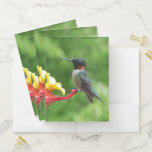 Ruby-Throated Hummingbird Bird Photography Pocket Folder
