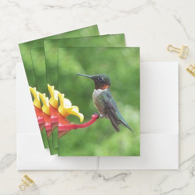 Ruby-Throated Hummingbird Bird Photography Pocket Folder (In Situ)