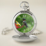 Ruby-Throated Hummingbird Bird Photography Pocket Watch