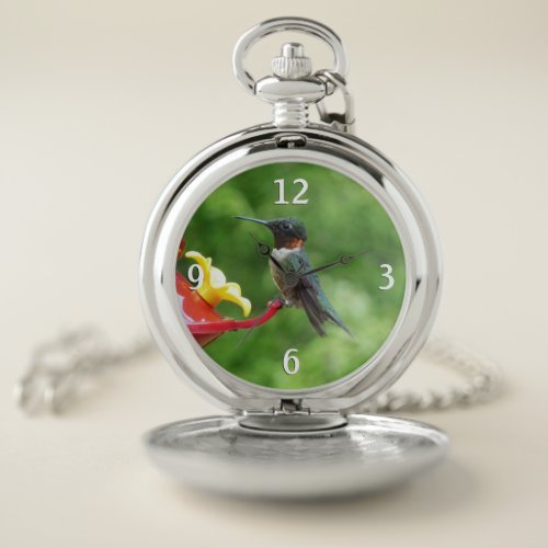 Ruby_Throated Hummingbird Bird Photography Pocket Watch