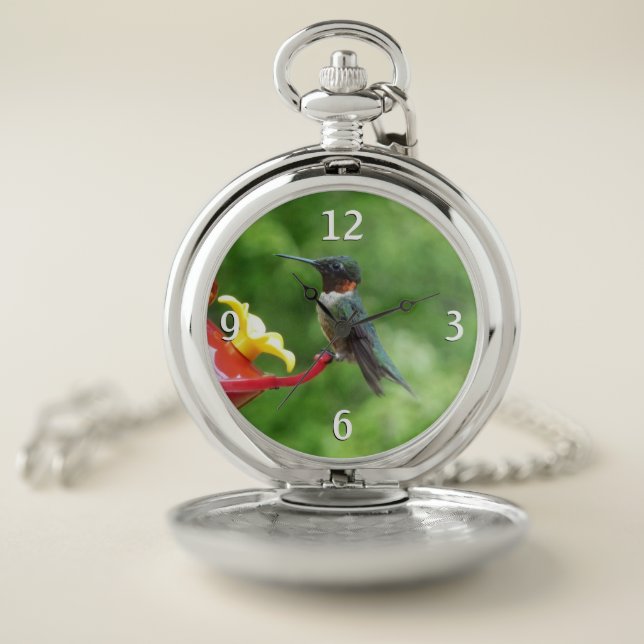 Ruby-Throated Hummingbird Bird Photography Pocket Watch (Inside)