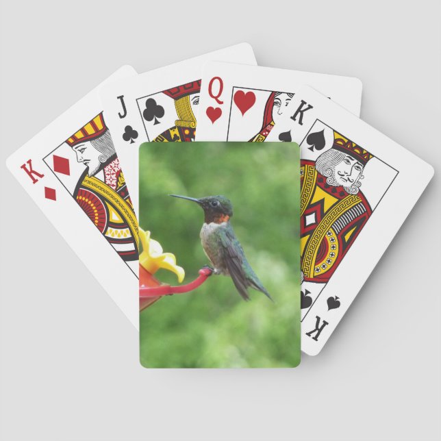 Ruby-Throated Hummingbird Bird Photography Poker Cards (Back)