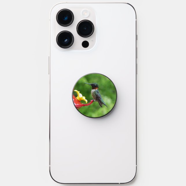 Ruby-Throated Hummingbird Bird Photography PopSocket (Front)