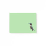 Ruby-Throated Hummingbird Bird Photography Post-it Notes