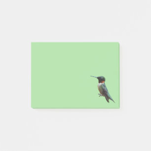 Ruby-Throated Hummingbird Bird Photography Post-it Notes