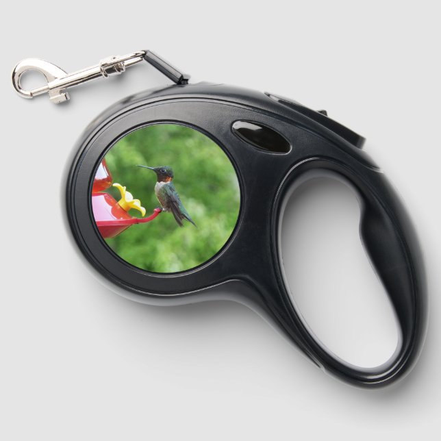 Ruby-Throated Hummingbird Bird Photography Retractable Pet Leash (Front)
