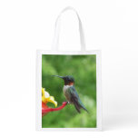 Ruby-Throated Hummingbird Bird Photography Reusable Grocery Bag