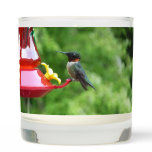 Ruby-Throated Hummingbird Bird Photography Scented Candle