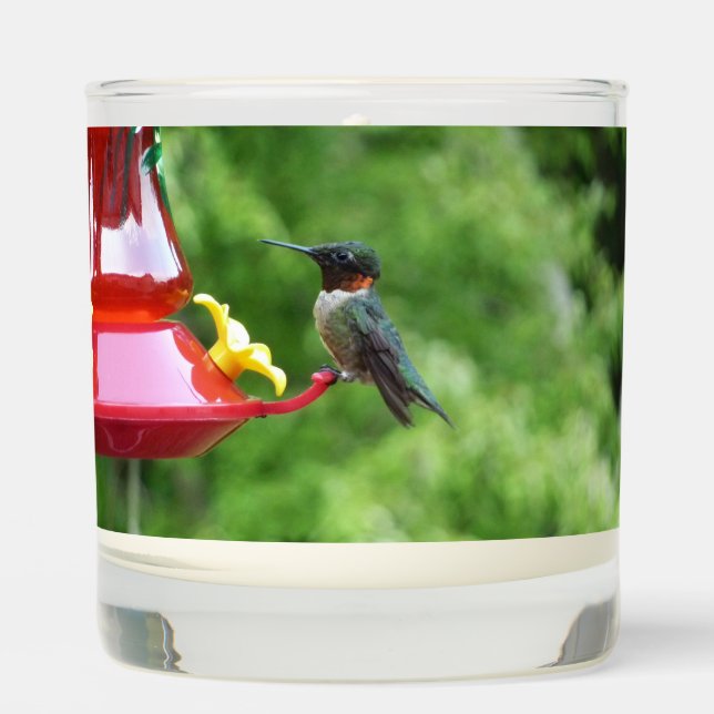 Ruby-Throated Hummingbird Bird Photography Scented Candle (Front)