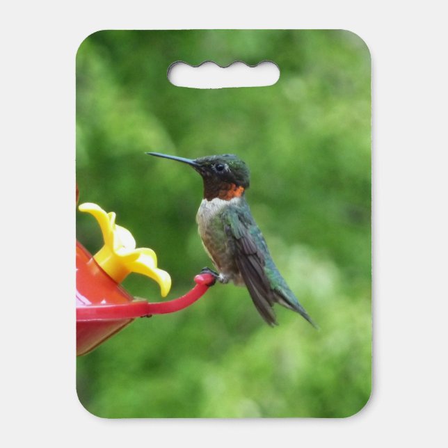 Ruby-Throated Hummingbird Bird Photography Seat Cushion (Front Vertical)