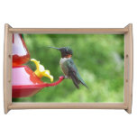 Ruby-Throated Hummingbird Bird Photography Serving Tray